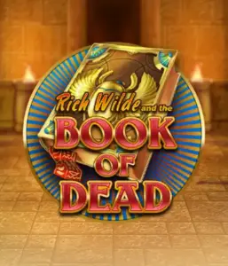 Enter the thrilling world of Book of Dead by Play'n GO, featuring vivid graphics of Rich Wilde’s adventurous journey through ancient Egyptian tombs and artifacts. Uncover lost riches with engaging mechanics like free spins, expanding icons, and a gamble option. Ideal for adventure enthusiasts with a desire for thrilling discoveries.